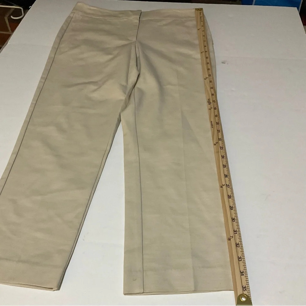 Ann Taylor Signature Fit Tan Work Trousers Size 8 - Picture 9 of 15